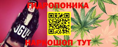 ALPHA PVP Шебекино