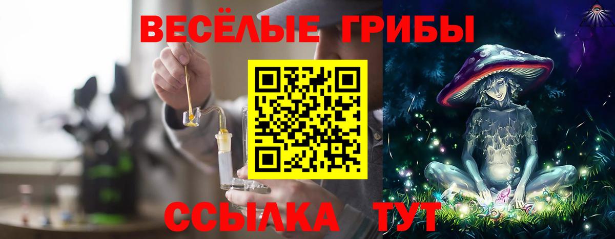 Псилоцибиновые грибы GOLDEN TEACHER Великий Устюг