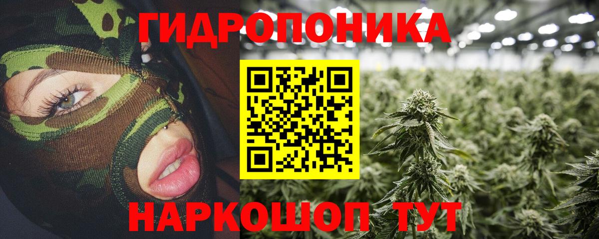 Канабис OG Kush  Вход с VPN  Марихуана SATIVA & INDICA  Канабис конопля  Великий Устюг  Шишки марихуана семена 